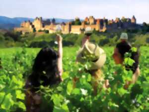 BALADES VIGNERONNES EN GRAND CARCASSONNE - DOMAINE DE CANTALAUZE