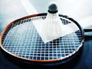 photo 24e tournoi de Badminton des Vosges du Nord