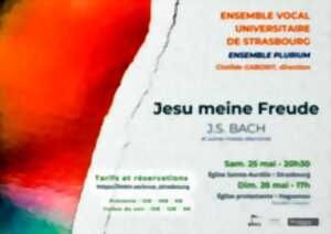 photo Jesu meine Freude - Ensemble Vocal Universitaire de Strasbourg