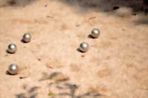 Concours de pétanque