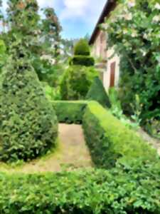 photo Rendez-vous aux jardins 2025 - Jardin À l'ombre de la ville - Limoges