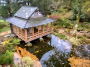 Rendez-vous aux jardins 2024 - Jardin Japonais de Bonnac-la-Côte