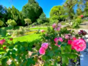 Rendez-vous aux jardins 2024 - Roseraie des Vaseix - Verneuil-sur-Vienne