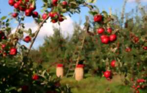 Jardins ouverts chez Jean-Claude