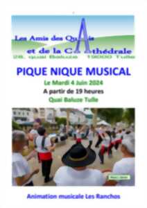 photo Pique Nique musical