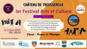 photo Festival arts et culture au Château de Troissereux