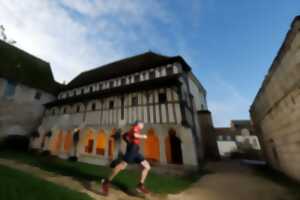 Trail Entre caves et châteaux à Montoire-sur-le Loir