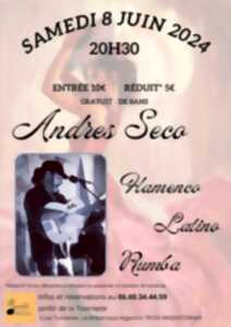 Concert - Andres Seco