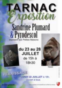 Exposition  de Sandrine PLUMARD et PYRODESCOL