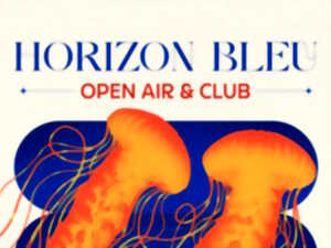 photo CONCERT - Horizon bleu, open air  club