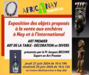 photo Festival Afric à Nay