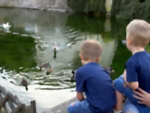 photo Kutt' en fête !