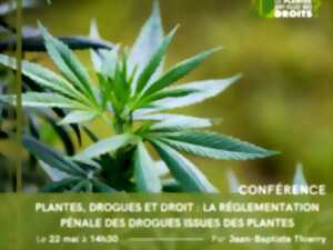 CONFÉRENCE - PLANTES, DROGUES ET DROIT : LA RÉGLEMENTATION PÉNALE DES DROGUES ISSUES DES PLANTES