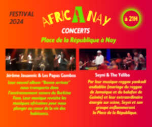 photo Festival Afric à Nay - Concert