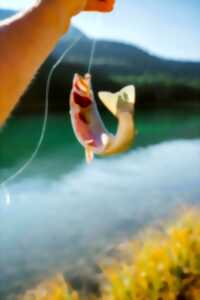 Concours de pêche à la truite