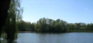 photo Apéro-rencontre au lac de Montigny-en-Gohelle !