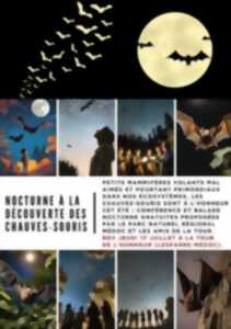 photo Nocturne à la découverte des chauves-souris