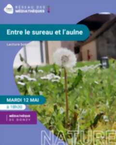 Entre le sureau et l'aulne