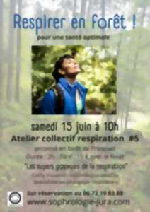 photo Atelier 