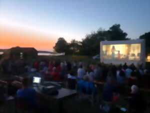 photo Cinéma en plein air au Musée de l'Hydraviation