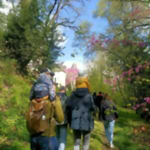 photo Rendez-vous aux Jardins : Visite guidée du parc du château de Buzet