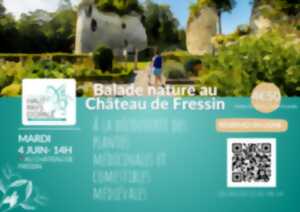 Balade nature au Château de Fressin, à la découverte des plantes médicinales et comestibles médiévales