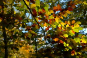photo Balade contée d'automne