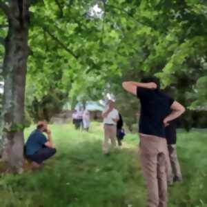 photo RENDEZ-VOUS AUX JARDINS DE LA VILLA GALLO-ROMAINE