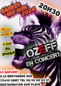 photo Ozeff en concert au Baromet