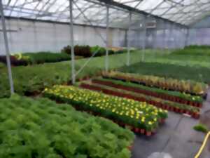 photo Rendez-vous aux jardins