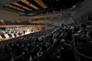 photo Retransmission d'un concert dans la ville depuis l'Opéra National de Bordeaux au Musée numérique de la Micro-Folie du Pays Foyen