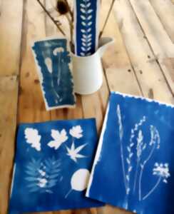 photo Atelier cyanotype M.A Nature