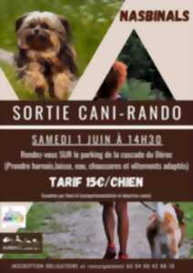 SORTIE CANI-RANDO