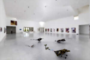 photo Visite commentée de l'exposition « Intrication » d'Anna Solal et Pierre Unal-Brunet