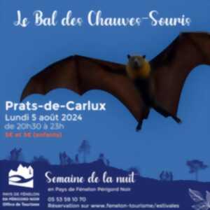 SEMAINE DE LA NUIT : Bal des Chauves-souris à Prats-de-Carlux