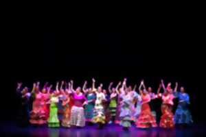 photo Spectacle Flamenco et Sévillanes