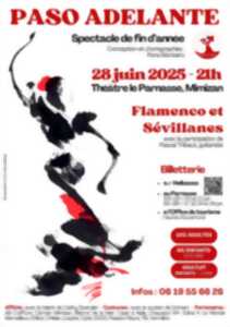 Spectacle Flamenco et Sévillanes