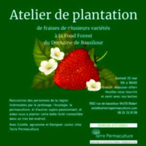 Atelier de Plantation - Domaine de Bassilour