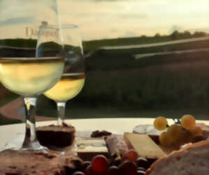 photo Expériences Mossig & Vignoble : Rendez-vous d'Olivier