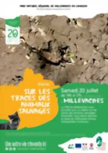 Sur les traces des animaux sauvages