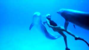 photo Dolphin man : le Grand Bleu en réalité virtuelle