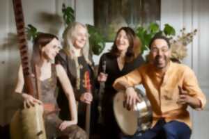 photo Concerts au Jardin - Limoges