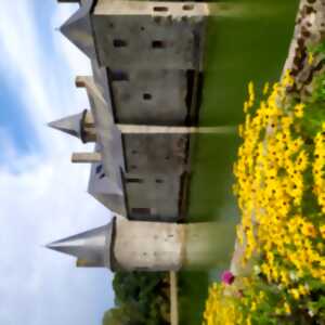 Visite guidée des extérieurs du château de Maisontiers, dans le cadre des Mercredis de l'été, en Airvaudais-Val du Thouet