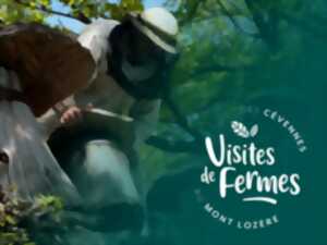 photo VISITES DE FERMES 2024 : L'ARBRE AUX ABEILLES