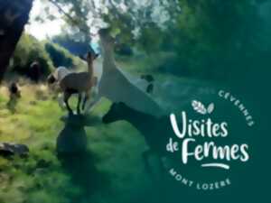 VISITES DE FERMES 2024 : FERME DE FOLIE