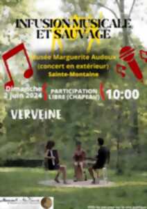 photo Infusion musicale et sauvage