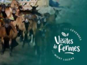 VISITES DE FERMES 2024 : LA FERME DE COCAGNE