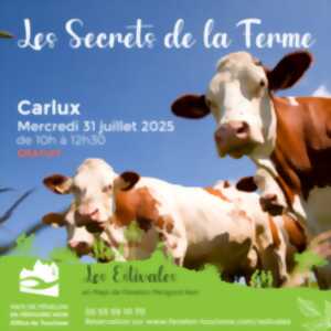 LES ESTIVALES : Les secrets de la ferme