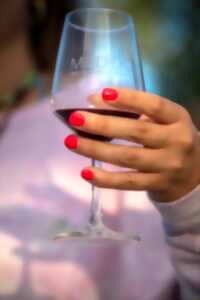 photo Foire aux vins AOC Médoc et Haut Médoc