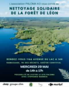 Nettoyage solidaire de la forêt de Léon